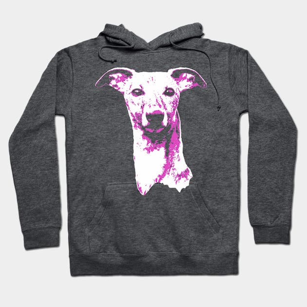 Pink Whippet Hoodie by childofthecorn